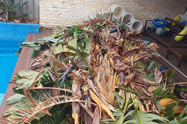 Green waste removal Melbourne