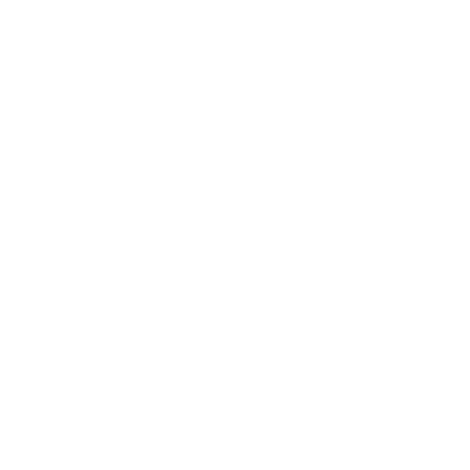 Garage cleanout service icon
