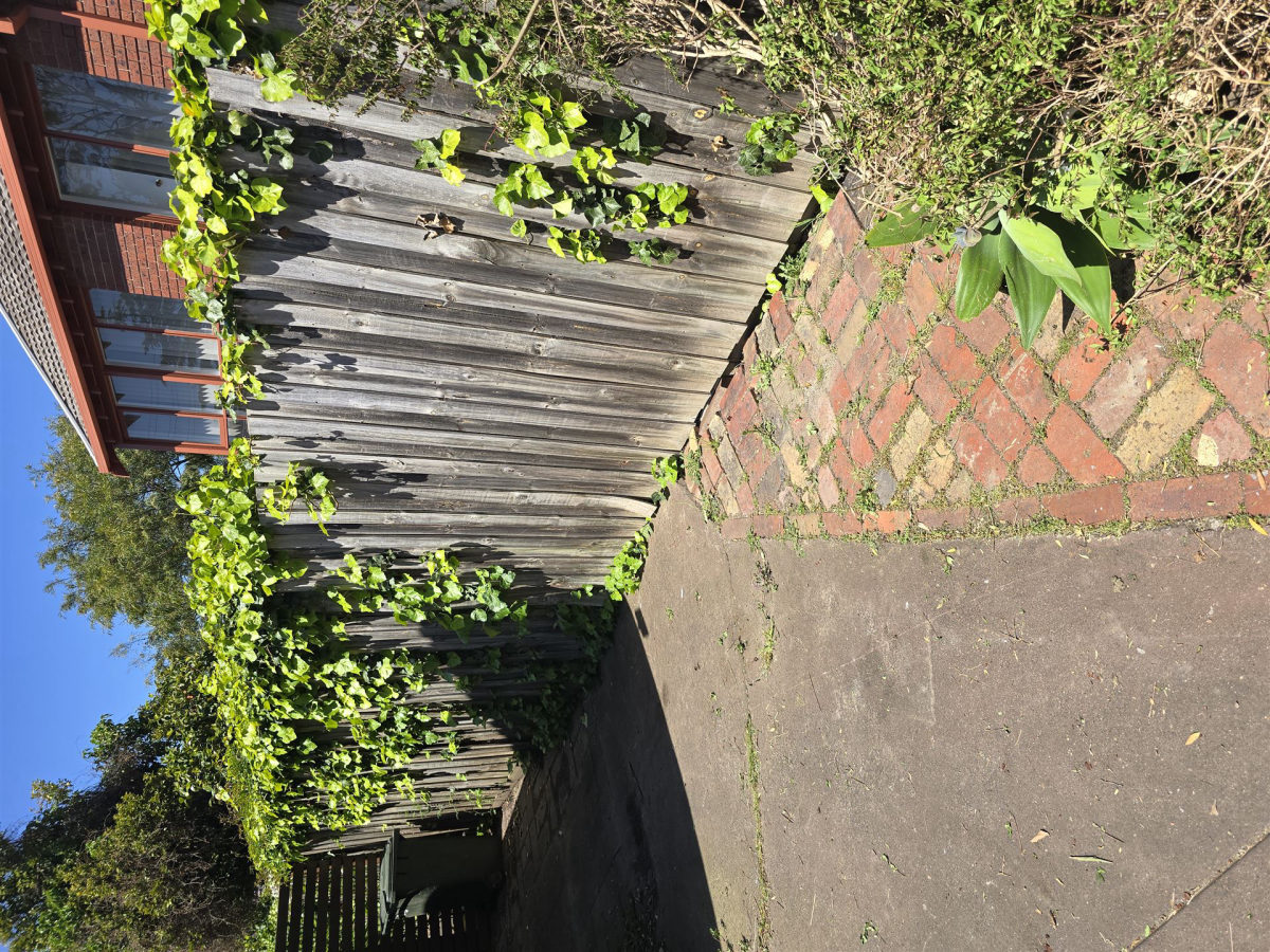 Side yard cleared