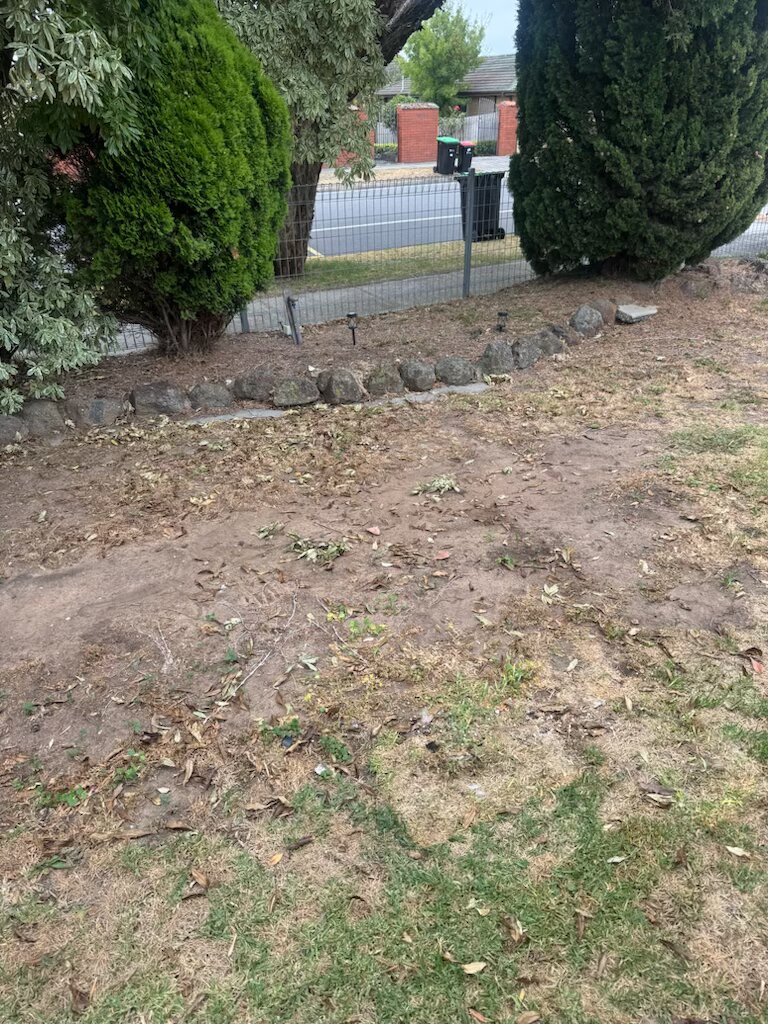 Yard completely cleared
