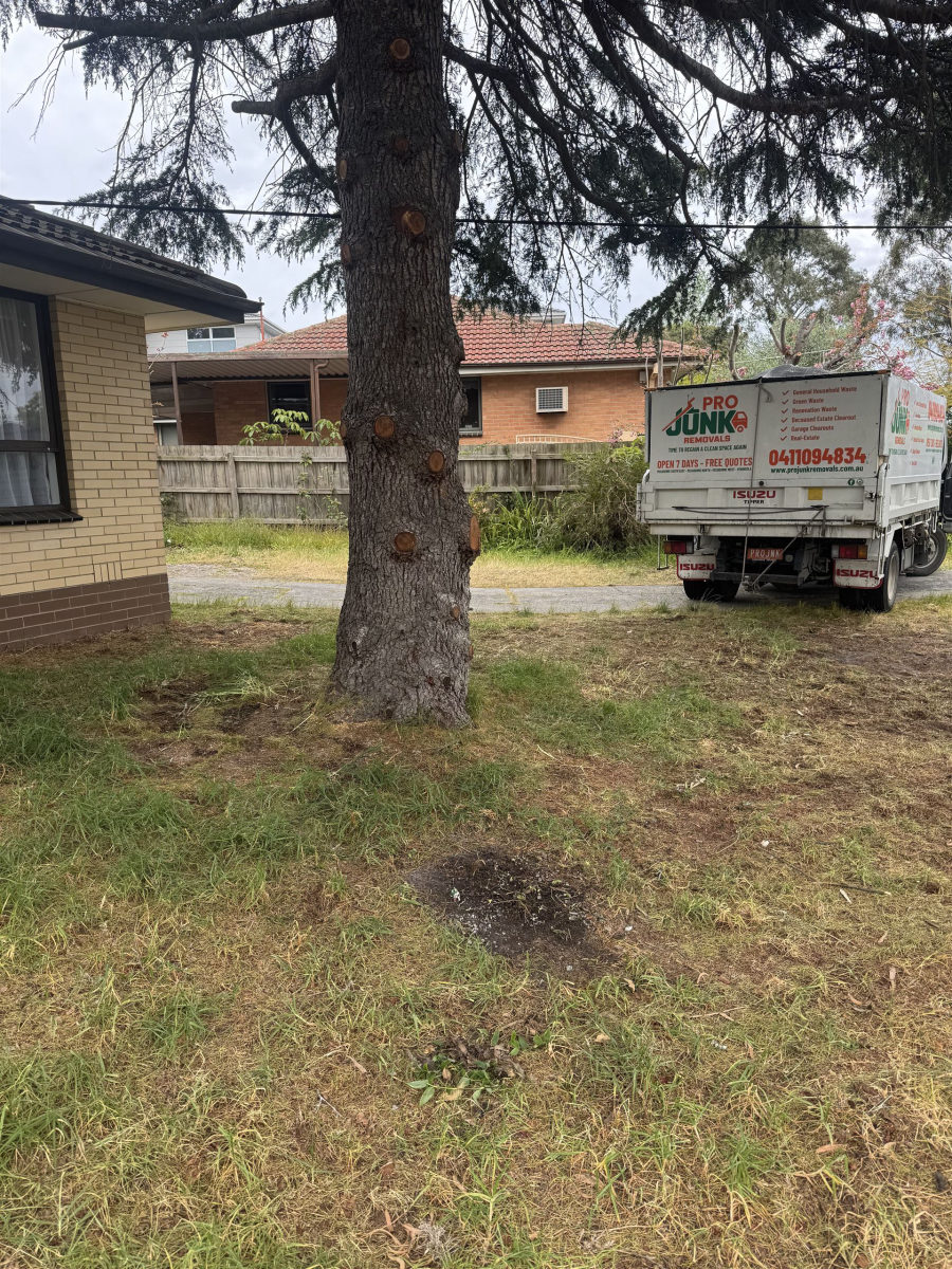 Yard fully cleared