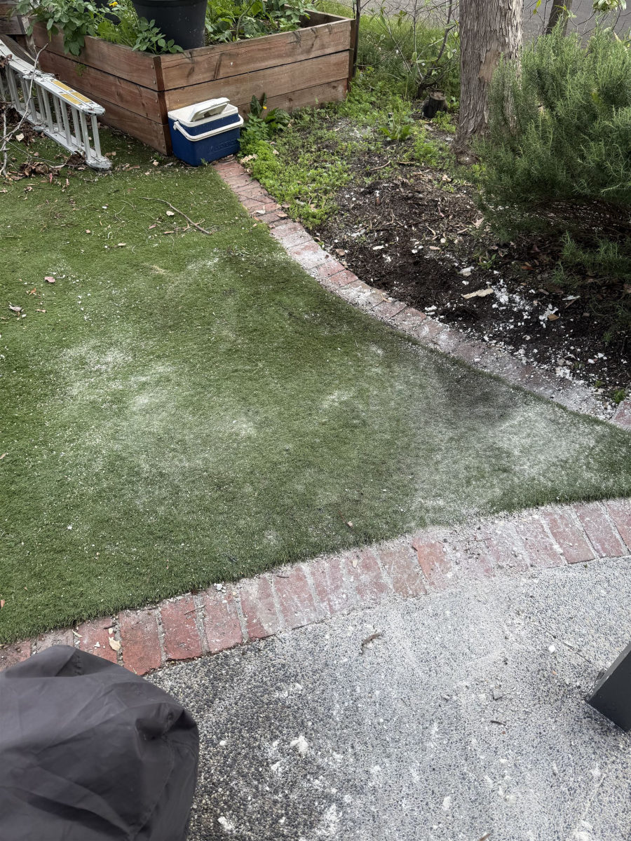 Backyard cleared